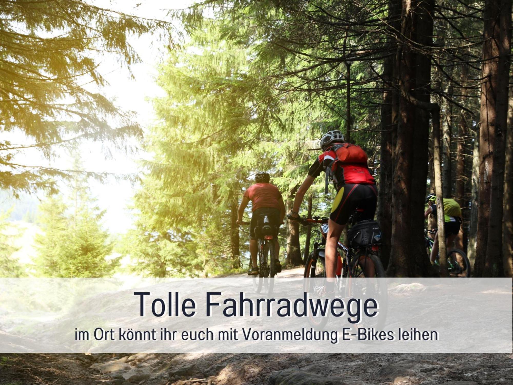 Natur-Chalet Zum Nationalpark Franz Inkl. E-Auto 알렌바크 외부 사진